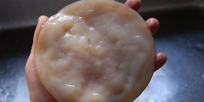 Kombucha pret nagu sēnīti